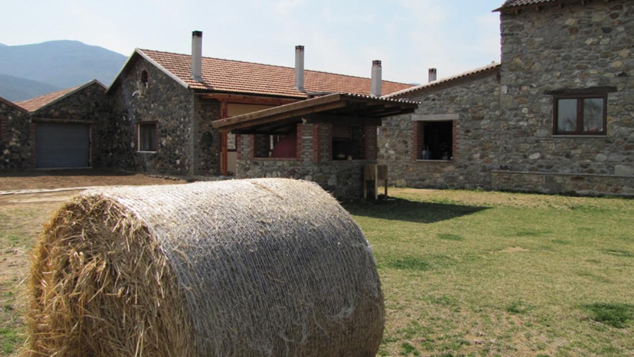 Bed and Breakfast Ihnilatis Kerkíni Exterior foto